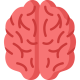 brain